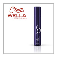 SP - 시스템 전문 - WELLA